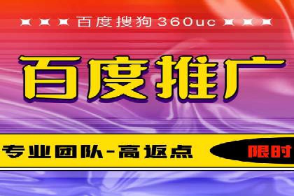 百度推广渠道拓展，成功案例分析