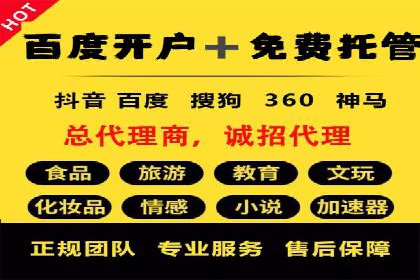 案例分析：SEM广告助力电商行业突破